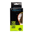 Lâmpada Led Bulbo | 3000k | 12w | Autovolt